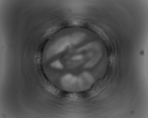 X0000101430423200807141246