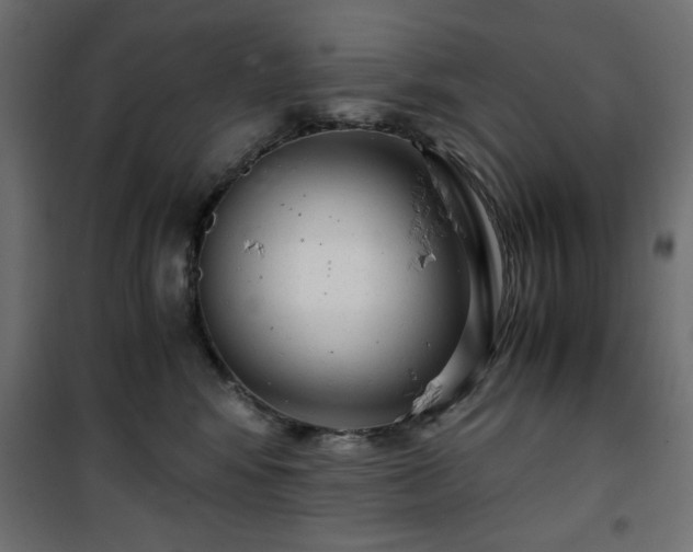 X0000101430424200807141246