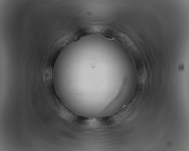 X0000101430425200807141246