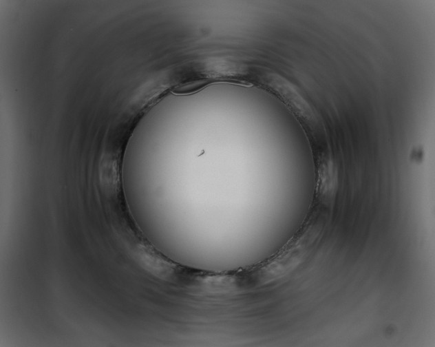 X0000101430426200807141246