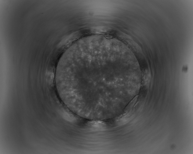 X0000101430427200807141246