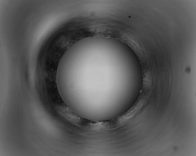 X0000101430430200807141246
