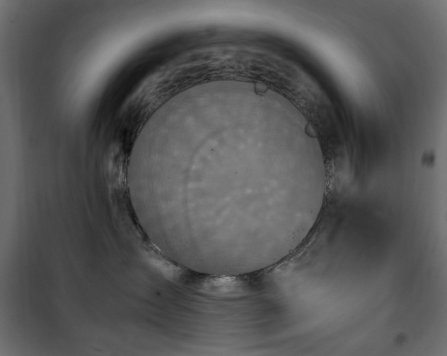 X0000101430431200807141246