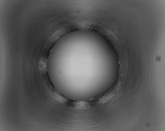 X0000101430432200807141246