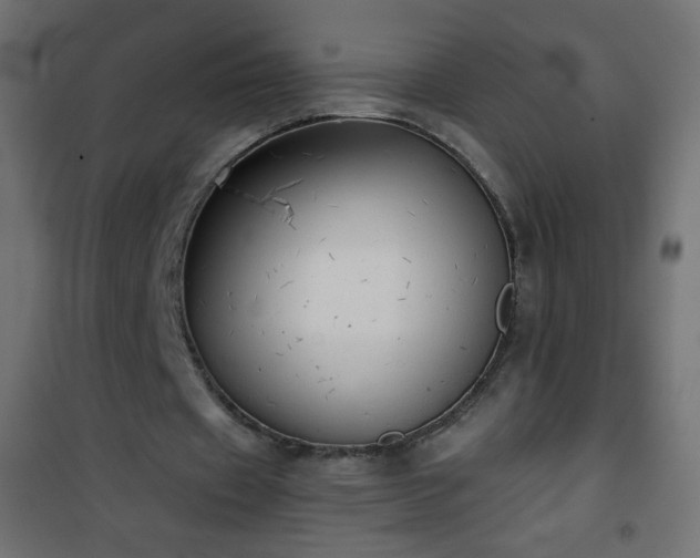 X0000101430433200807141245