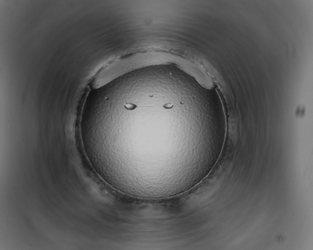 X0000101430434200807141245