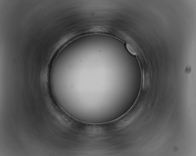 X0000101430435200807141245