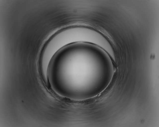 X0000101430436200807141245