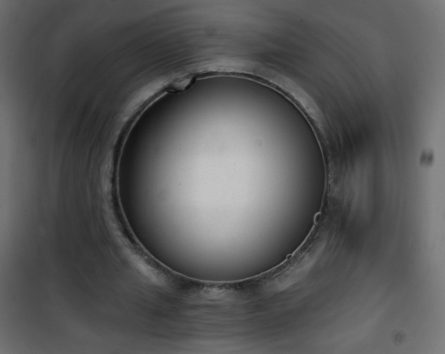 X0000101430437200807141245