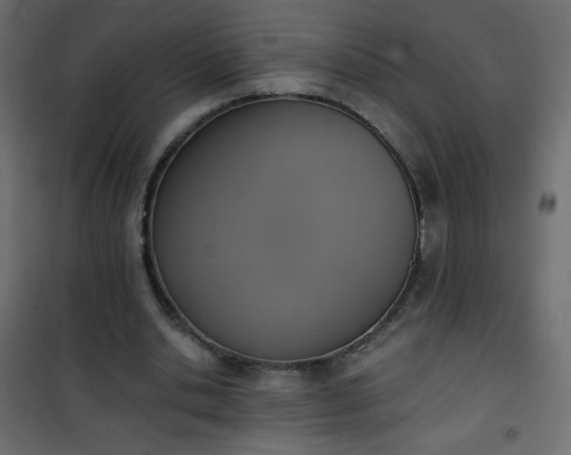 X0000101430438200807141245