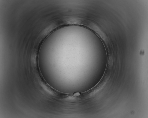 X0000101430441200807141245