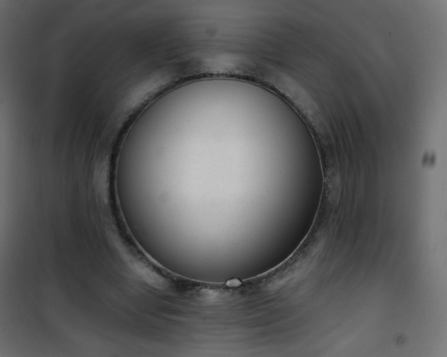 X0000101430442200807141245
