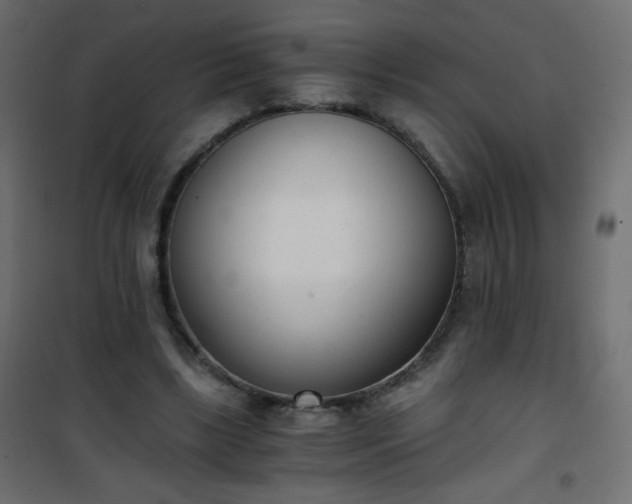 X0000101430443200807141245
