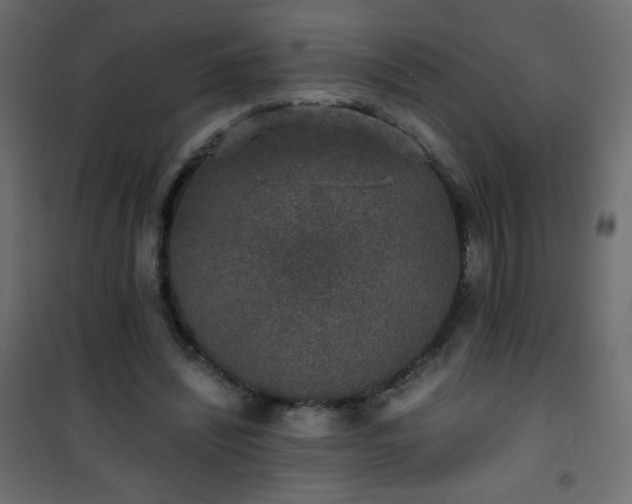 X0000101430444200807141245