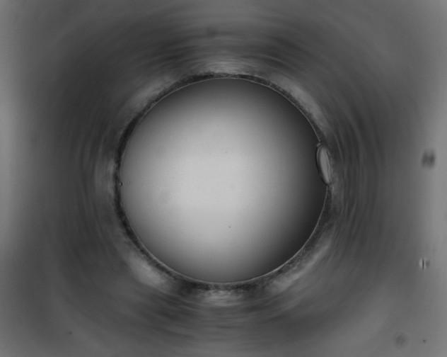 X0000101430445200807141245