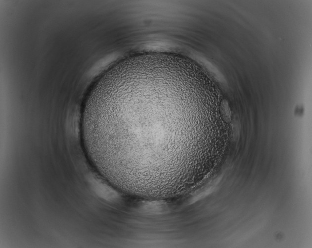 X0000101430446200807141246
