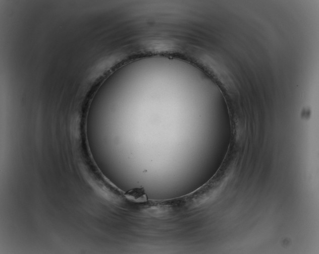 X0000101430447200807141246