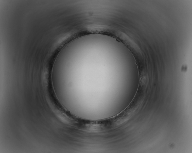 X0000101430448200807141246