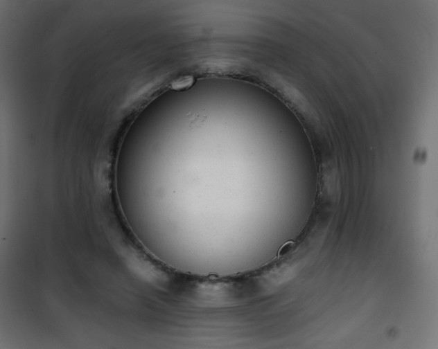 X0000101430450200807141246