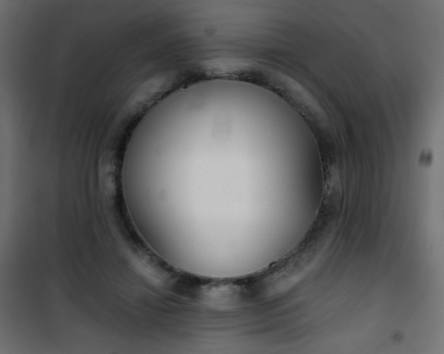 X0000101430452200807141246