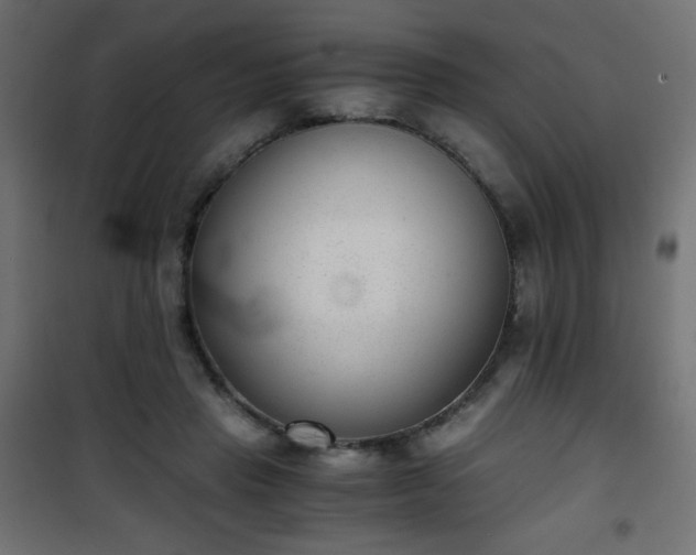 X0000101430453200807141246