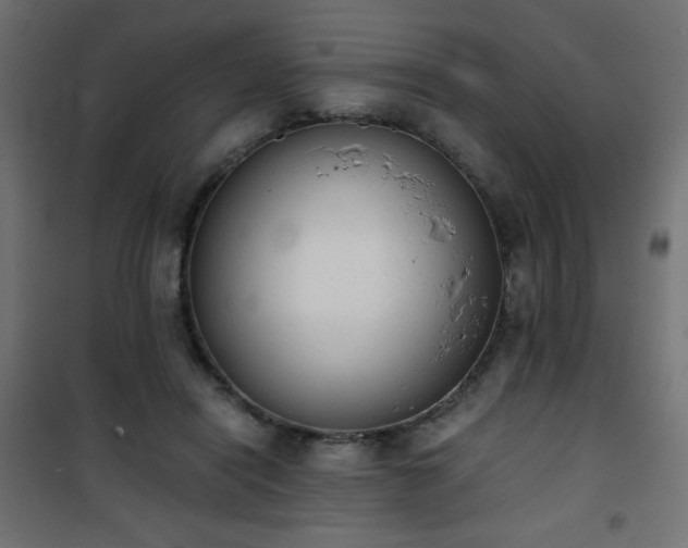 X0000101430454200807141246