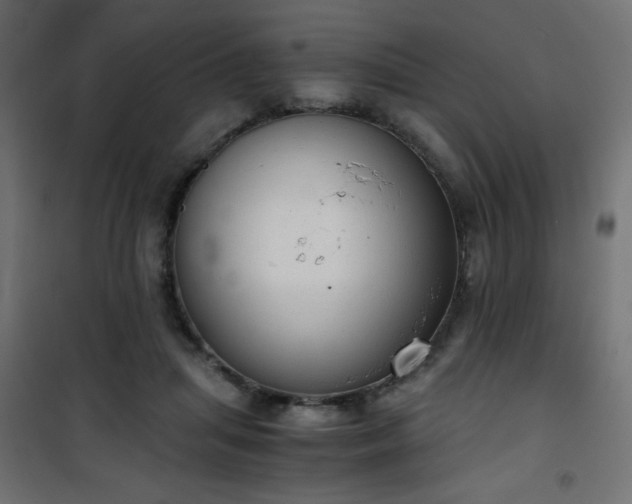 X0000101430455200807141246