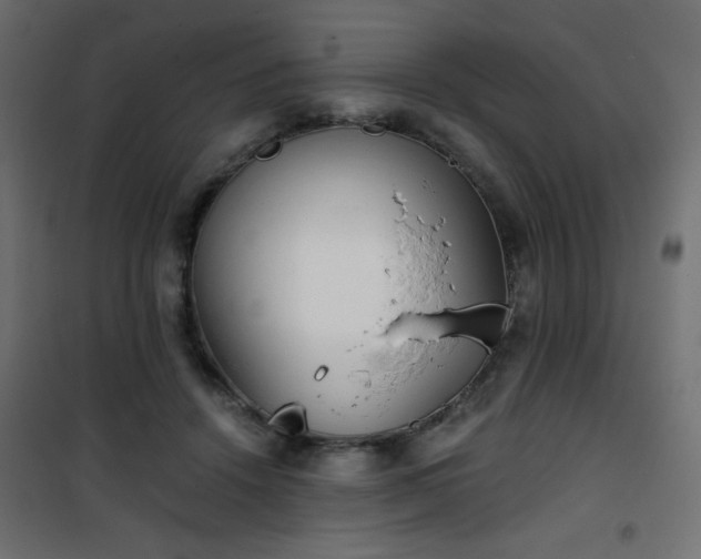 X0000101430456200807141246
