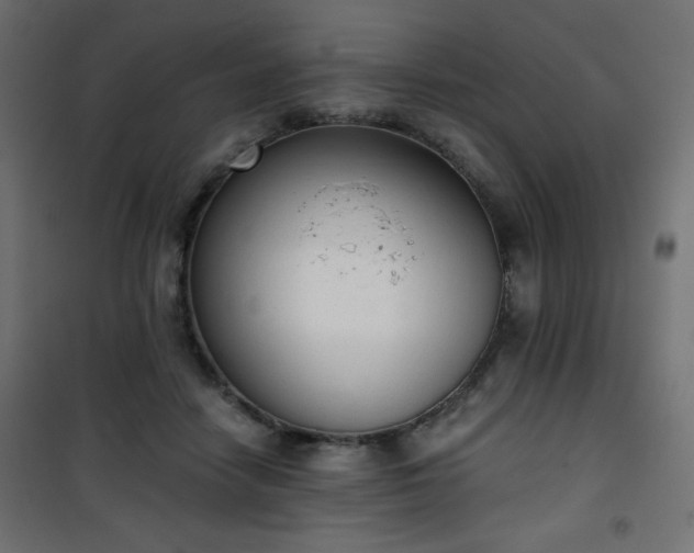X0000101430458200807141246