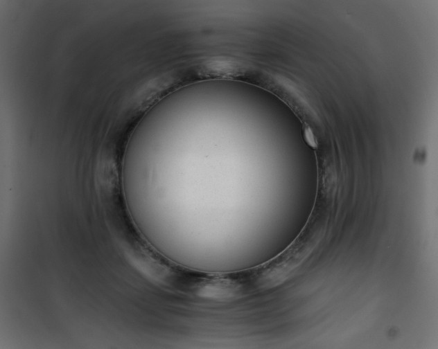 X0000101430459200807141246
