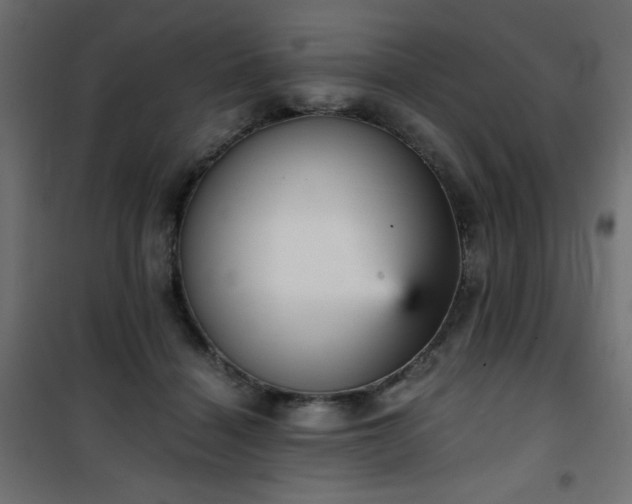 X0000101430460200807141246