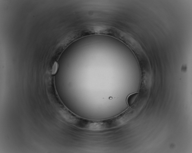 X0000101430461200807141246