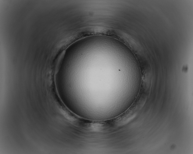 X0000101430462200807141246
