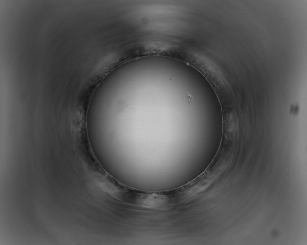 X0000101430463200807141246