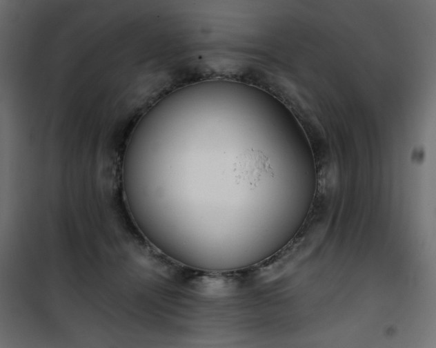 X0000101430464200807141246