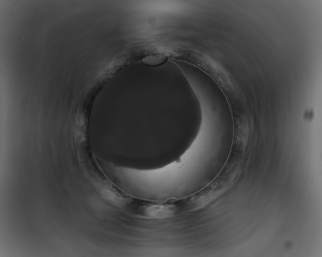 X0000101430465200807141246