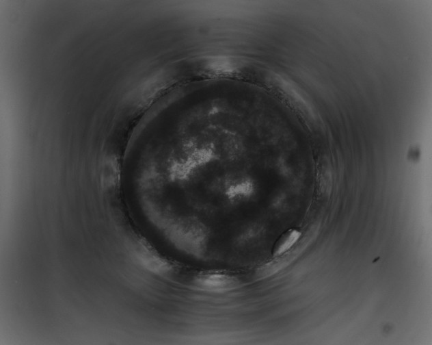 X0000101430467200807141246
