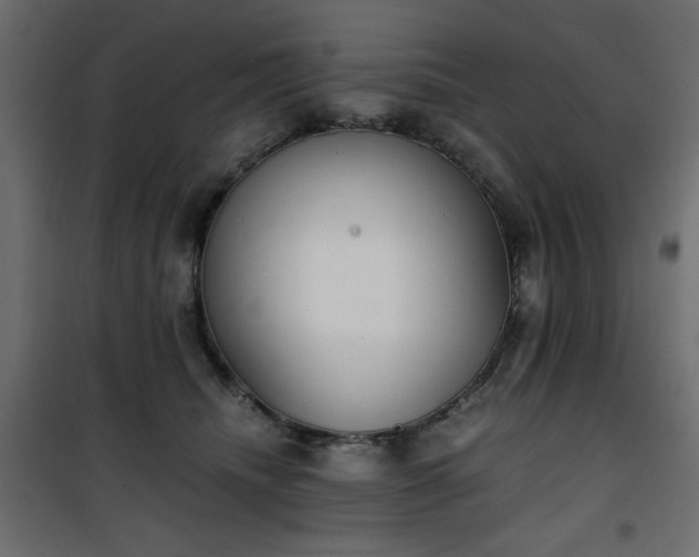 X0000101430468200807141246