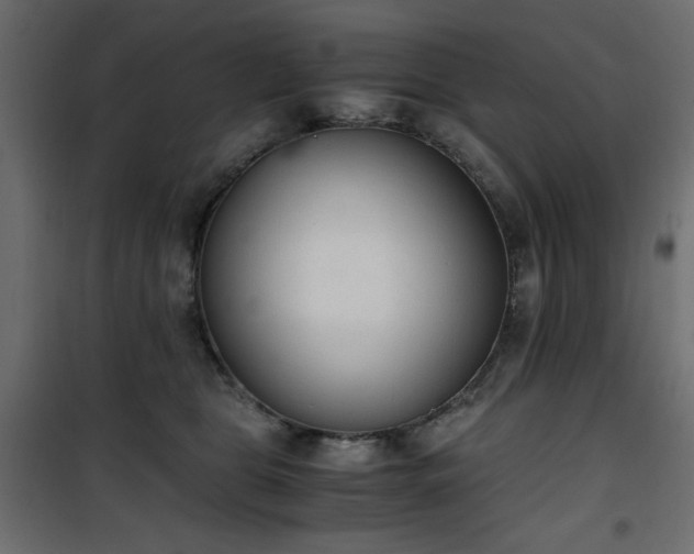 X0000101430469200807141246