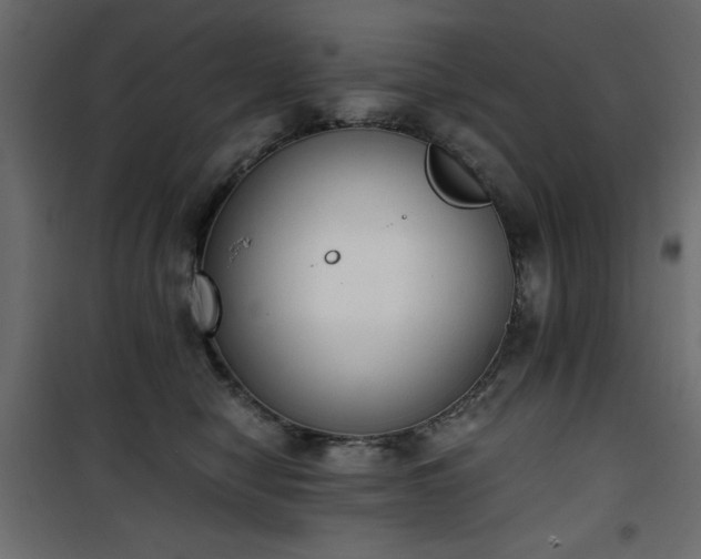 X0000101430470200807141246