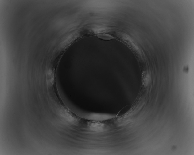 X0000101430471200807141246