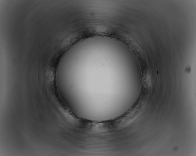 X0000101430472200807141246