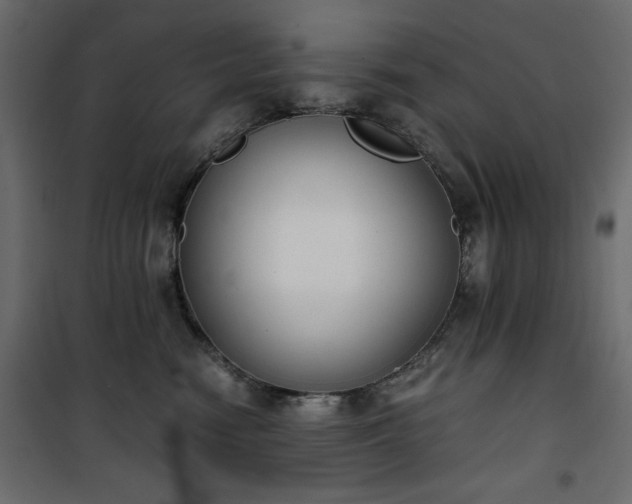X0000101430474200807141246