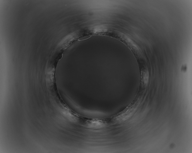 X0000101430475200807141246