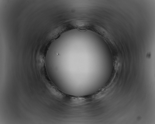 X0000101430476200807141246