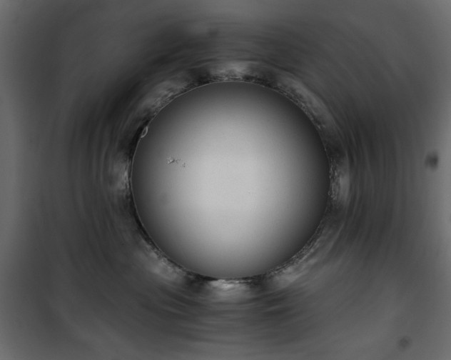 X0000101430477200807141246