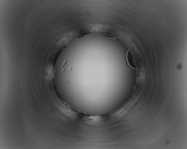X0000101430478200807141246