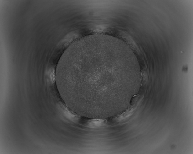 X0000101430479200807141246