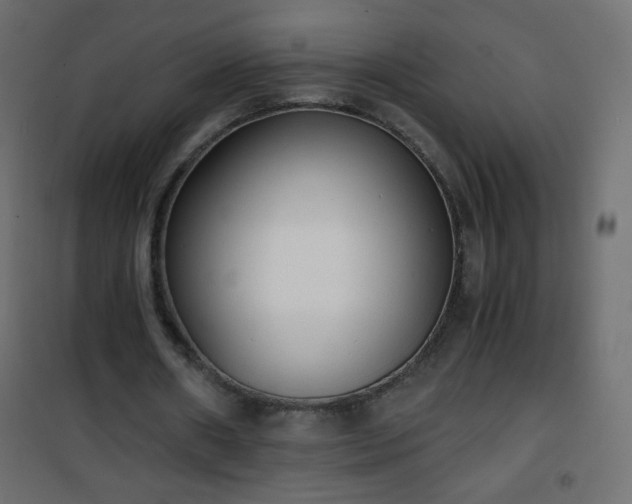 X0000101430482200807141245