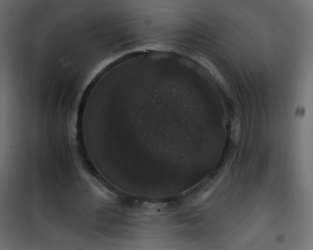 X0000101430484200807141245